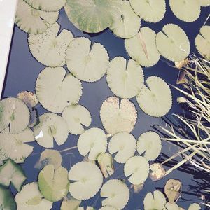 Meet your Posher, Imane